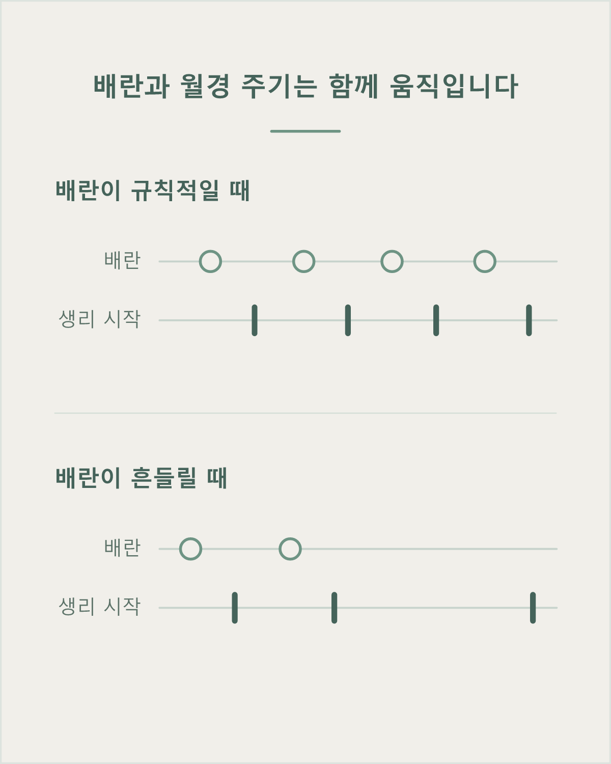 배란이 규칙적으로 일어나면 월경 주기도 규칙적으로 이어지고, 배란이 흔들리면 월경 시작일부터 불규칙해집니다