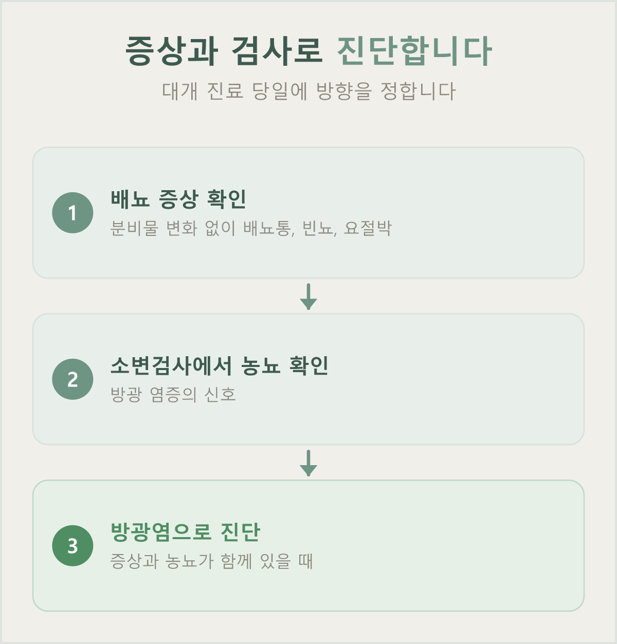 배뇨 증상을 확인하고 소변검사로 방광염을 진단하는 산부인과 진료 과정