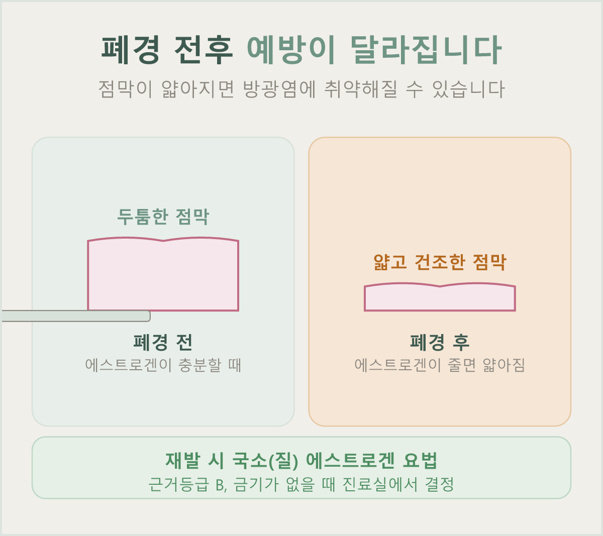 폐경 전후 에스트로겐 감소로 질·요도 점막이 얇아지면 방광염에 취약해질 수 있습니다
