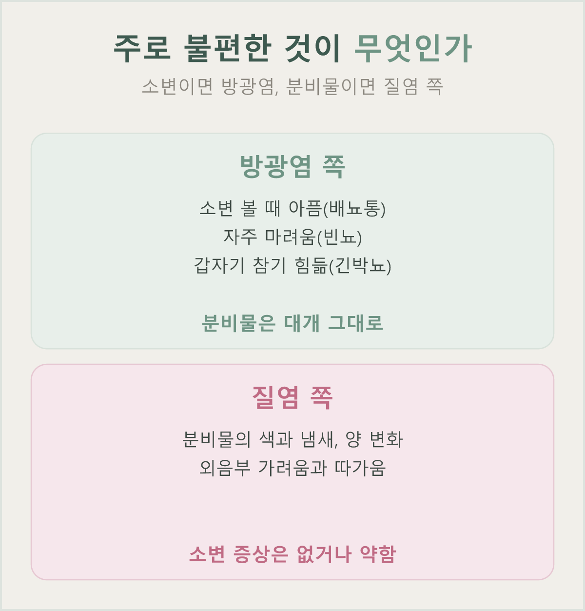 소변 볼 때의 증상은 방광염, 분비물 변화는 질염 — 증상이 갈리는 지점