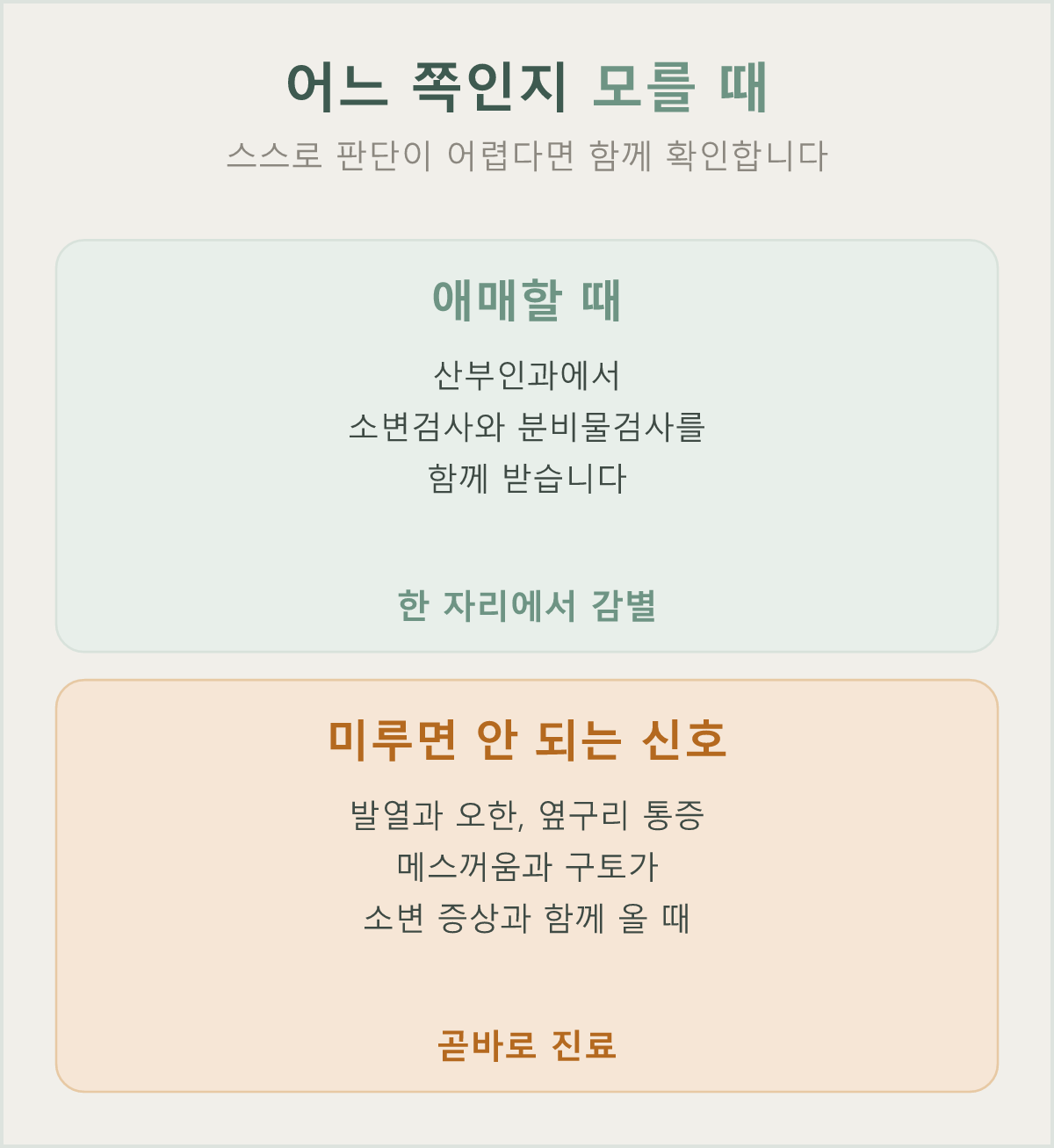 스스로 판단이 어려울 때의 진료 방향과 지체하면 안 되는 신우신염 신호