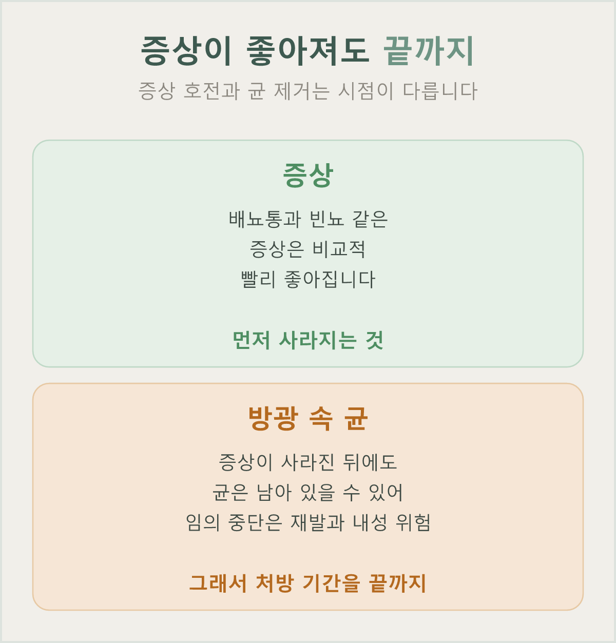 증상이 좋아져도 처방 기간을 끝까지 — 임의로 중단하면 남은 균이 다시 늘어 재발·내성 위험이 커집니다