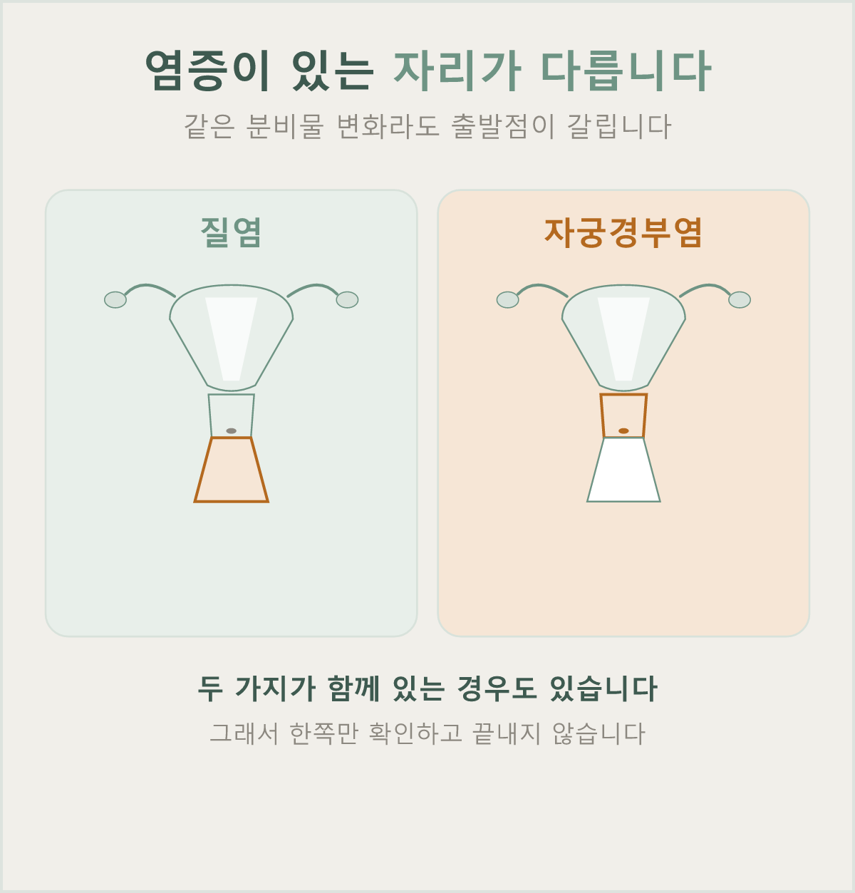 같은 분비물 변화라도 염증이 있는 자리가 다릅니다