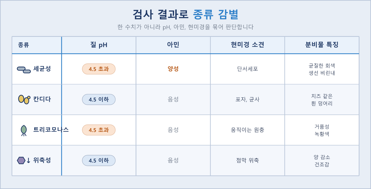 pH 아민 현미경 결과 조합으로 4가지 질염을 감별하는 매트릭스
