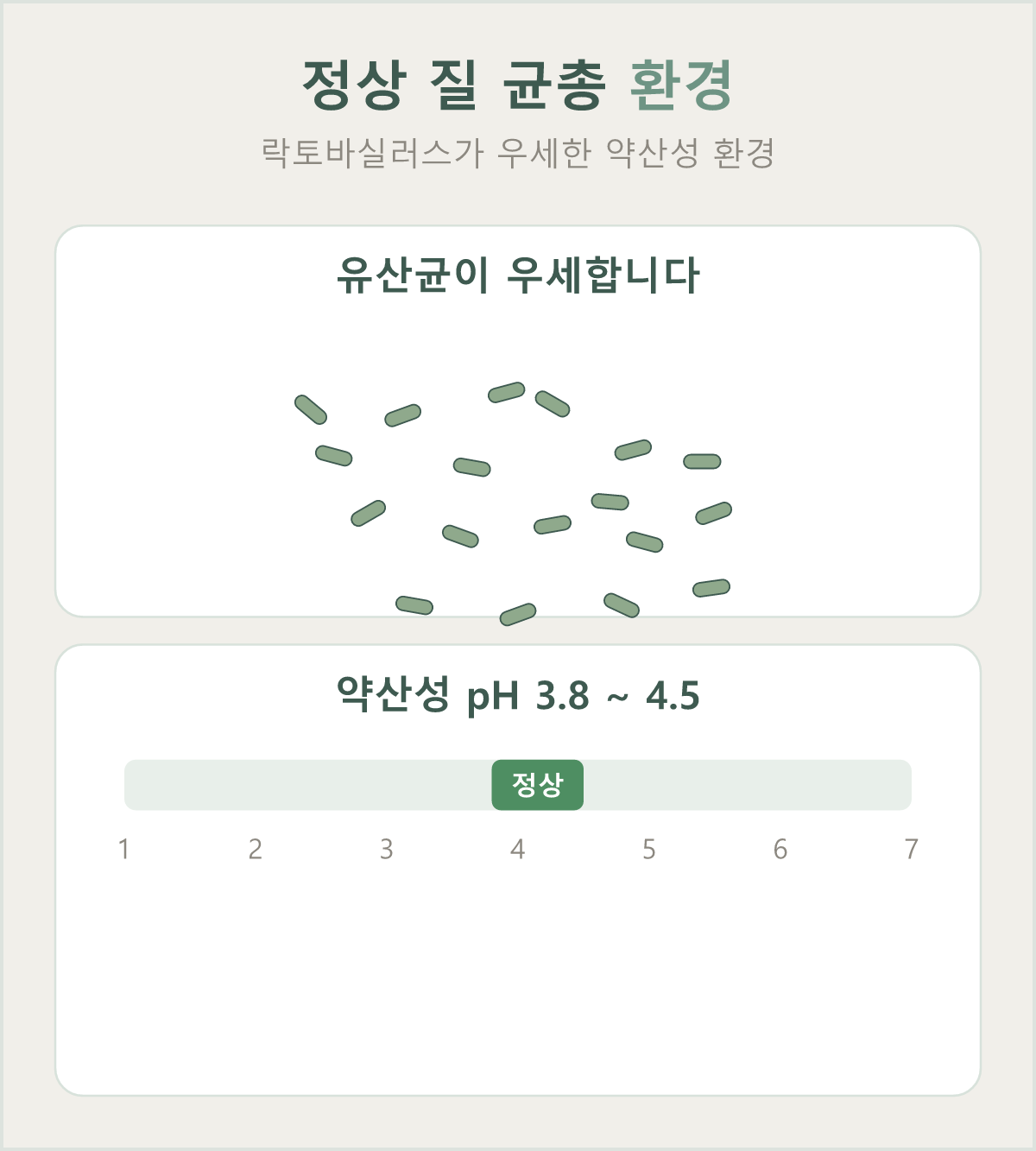 정상 질 환경은 락토바실러스가 우세한 약산성(pH 3.8~4.5)을 유지합니다