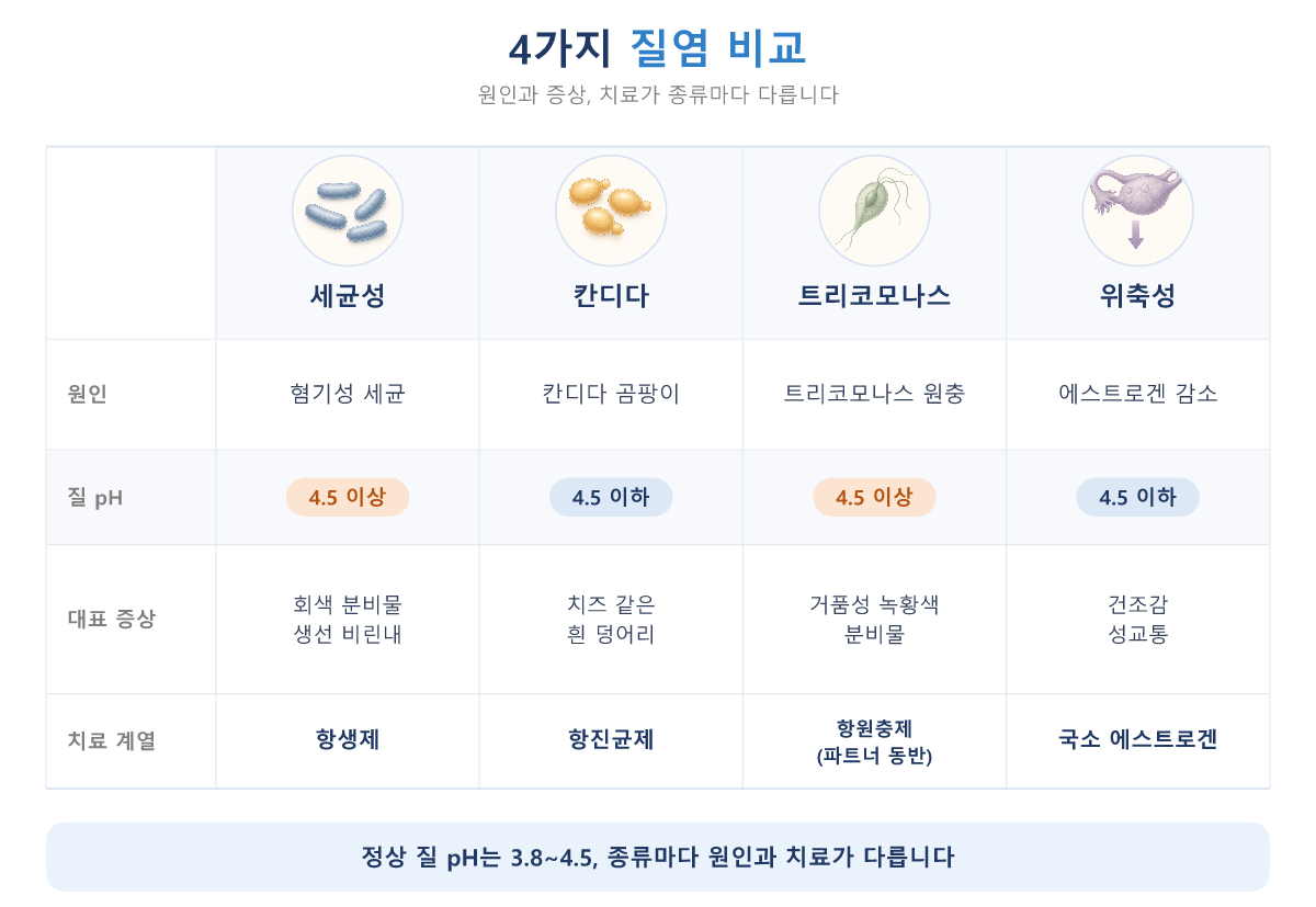 질염_4가지_종류_비교_세균성_칸디다_트리코모나스_위축성.png