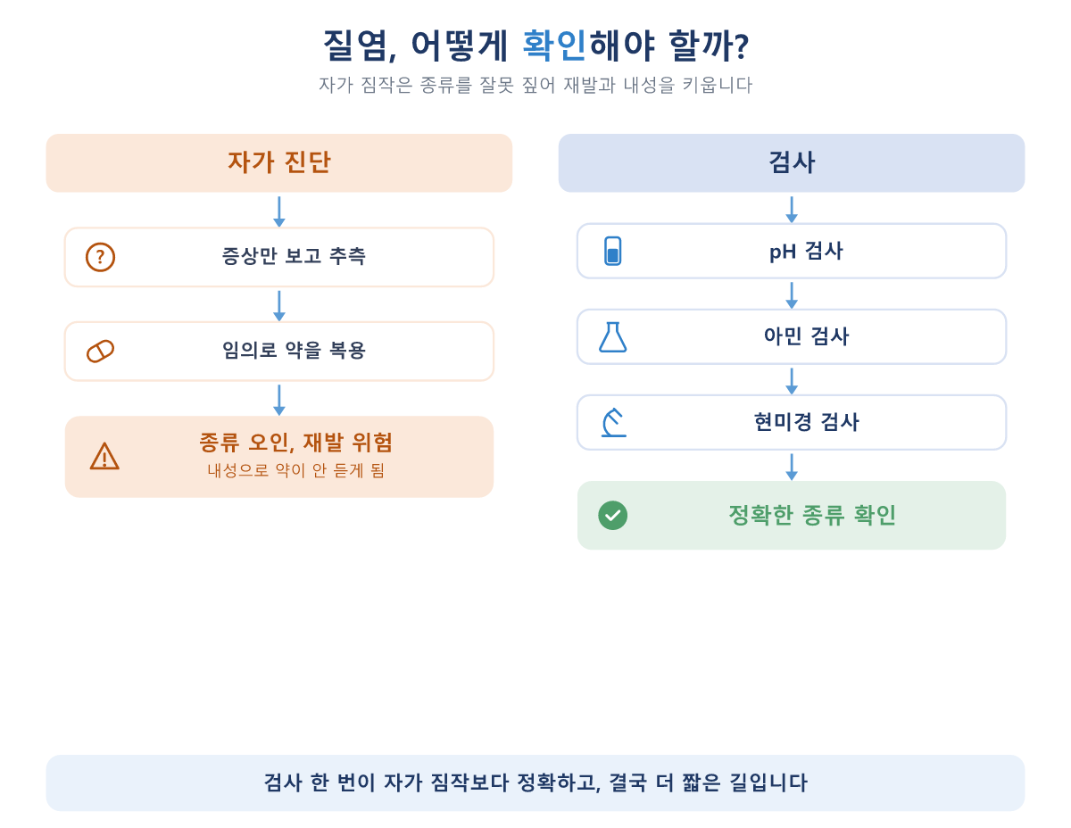 질염_자가진단_vs_검사_흐름도.png